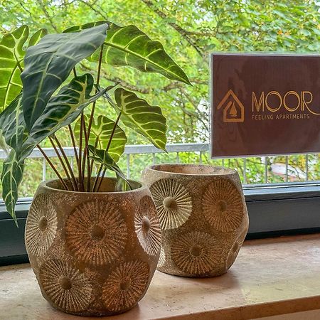 Moor Feeling Apartments Worpswede Esterno foto