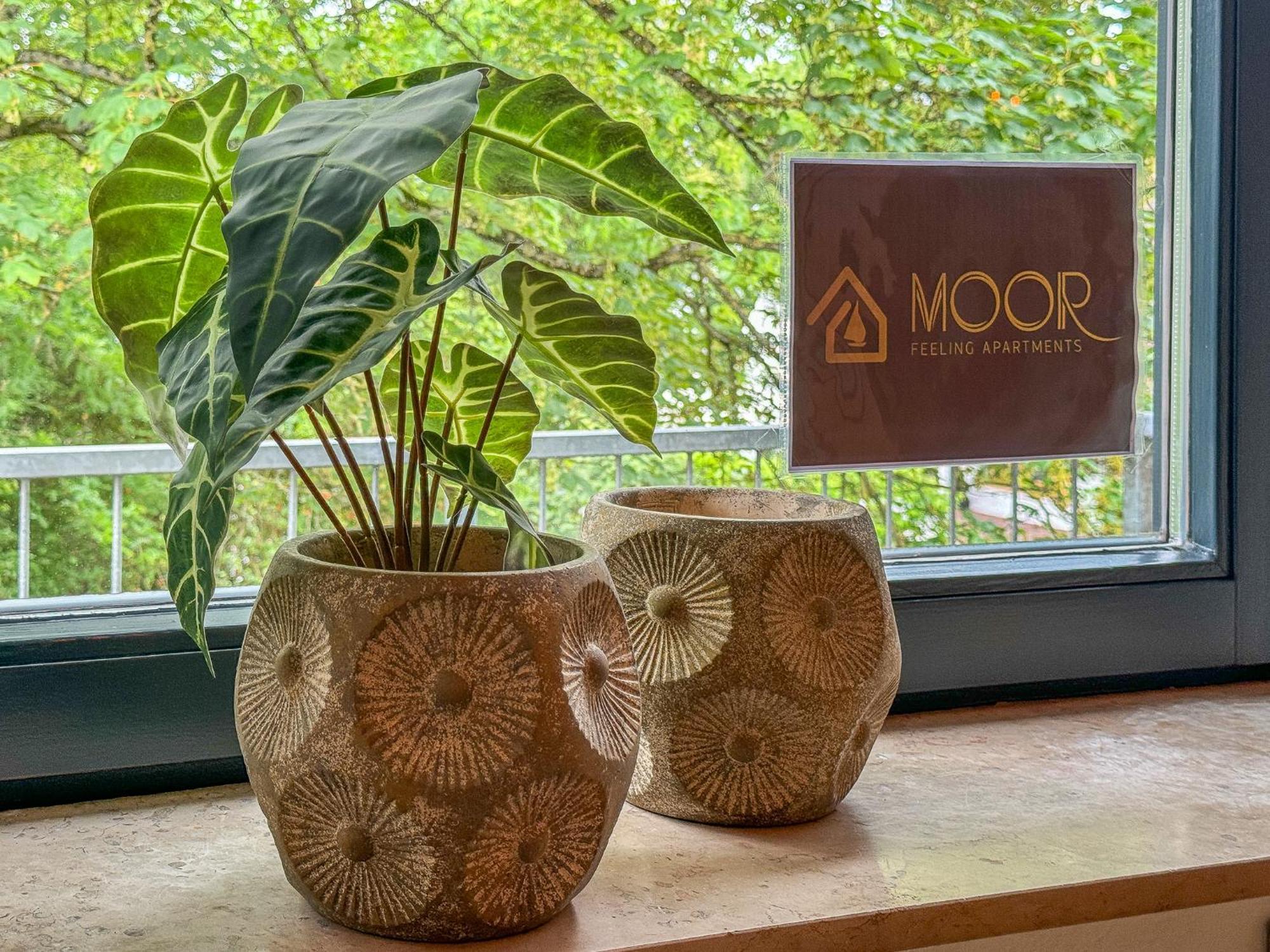 Moor Feeling Apartments Worpswede Esterno foto